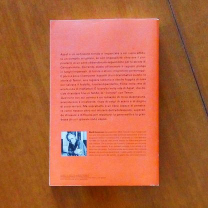 Qualcuno con cui correre Edizione Speciale Romanzo di David Grossman - immagine 2