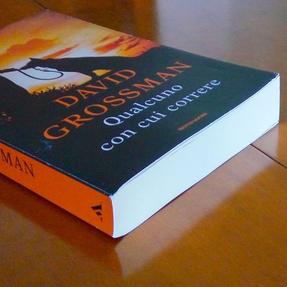 Qualcuno con cui correre Edizione Speciale Romanzo di David Grossman - immagine 4